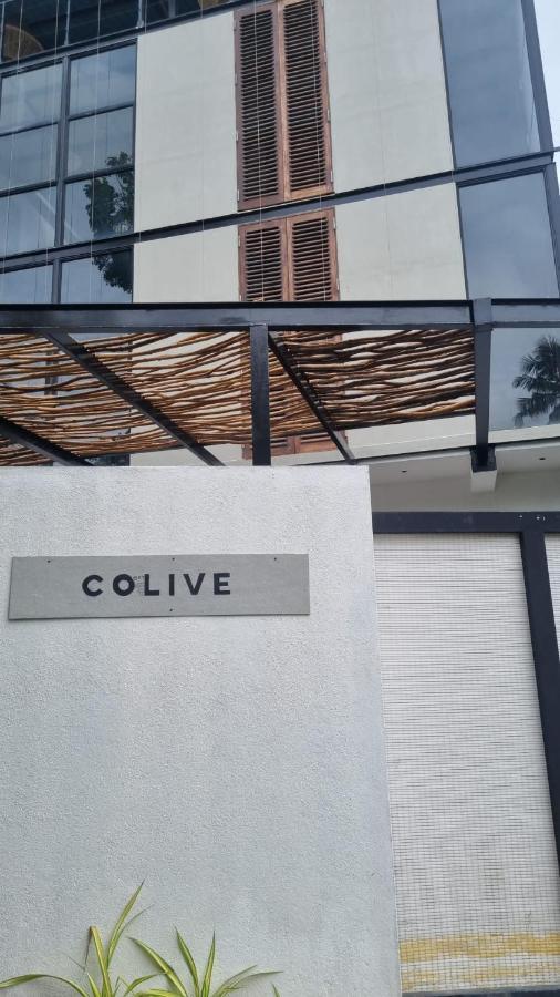 Colive آهانغاما المظهر الخارجي الصورة
